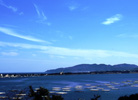 久美浜湾のカキ筬